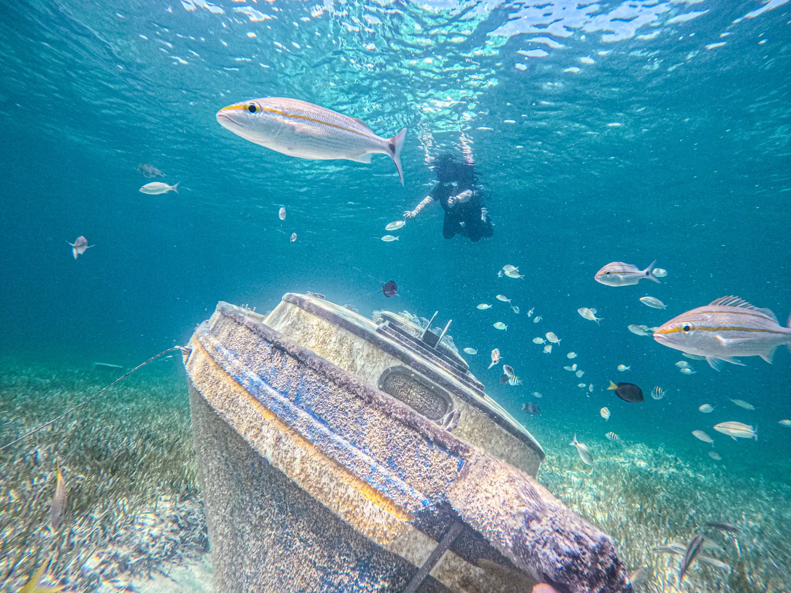 Art looks different underwater.
